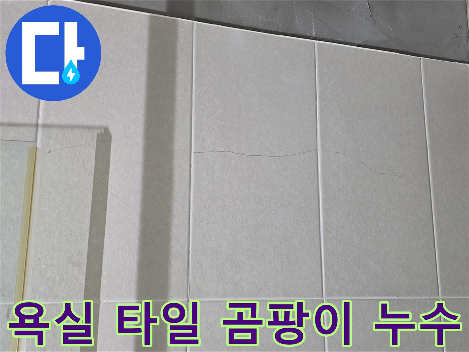욕실 타일 곰팡이는 누수의 명백한 신호탄입니다 - 즉시 전문가의 도움을 받으세요.