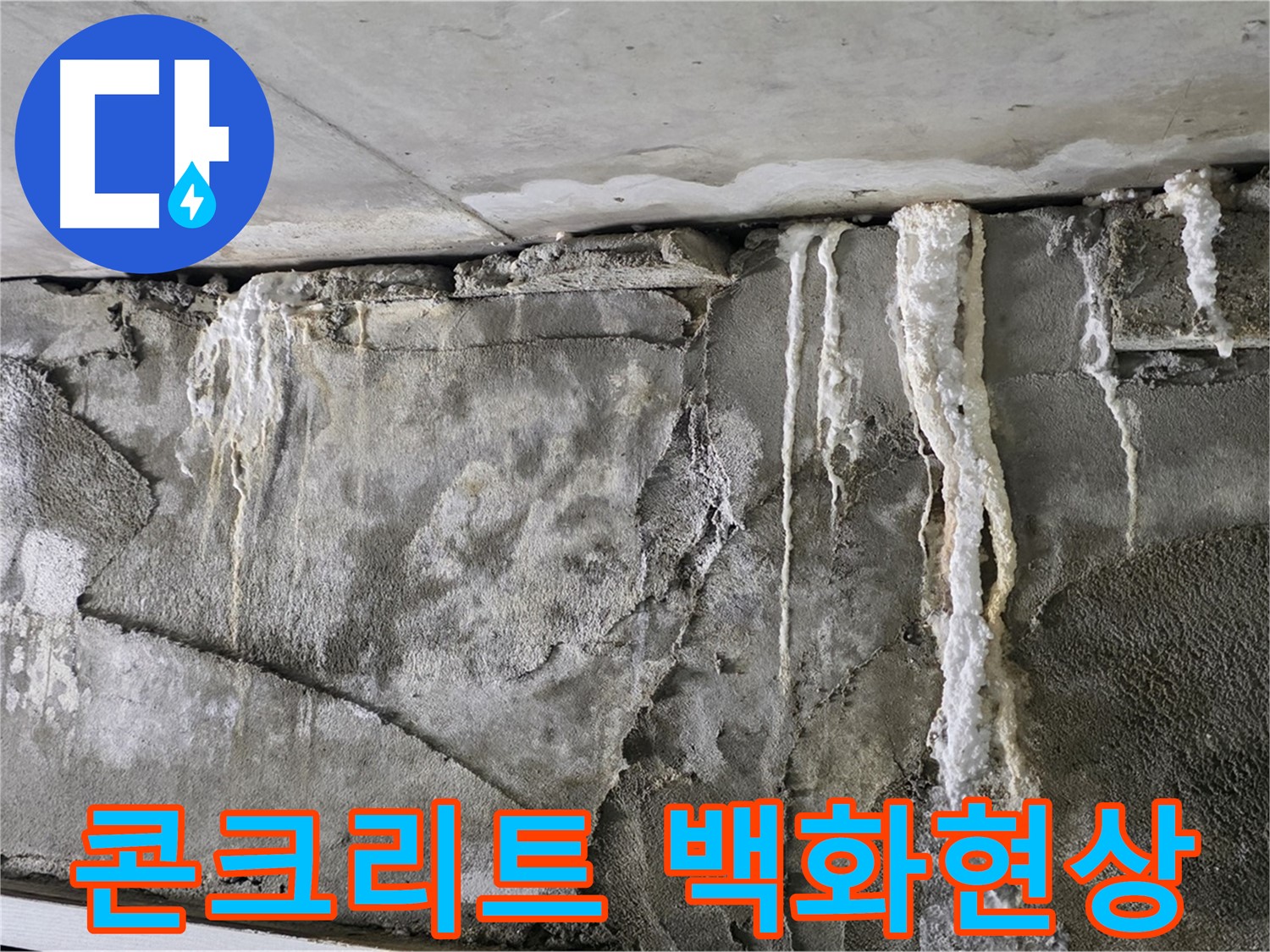 운중동 누수 - 콘크리트 구조물 백화현상, 심각한 누수 징후