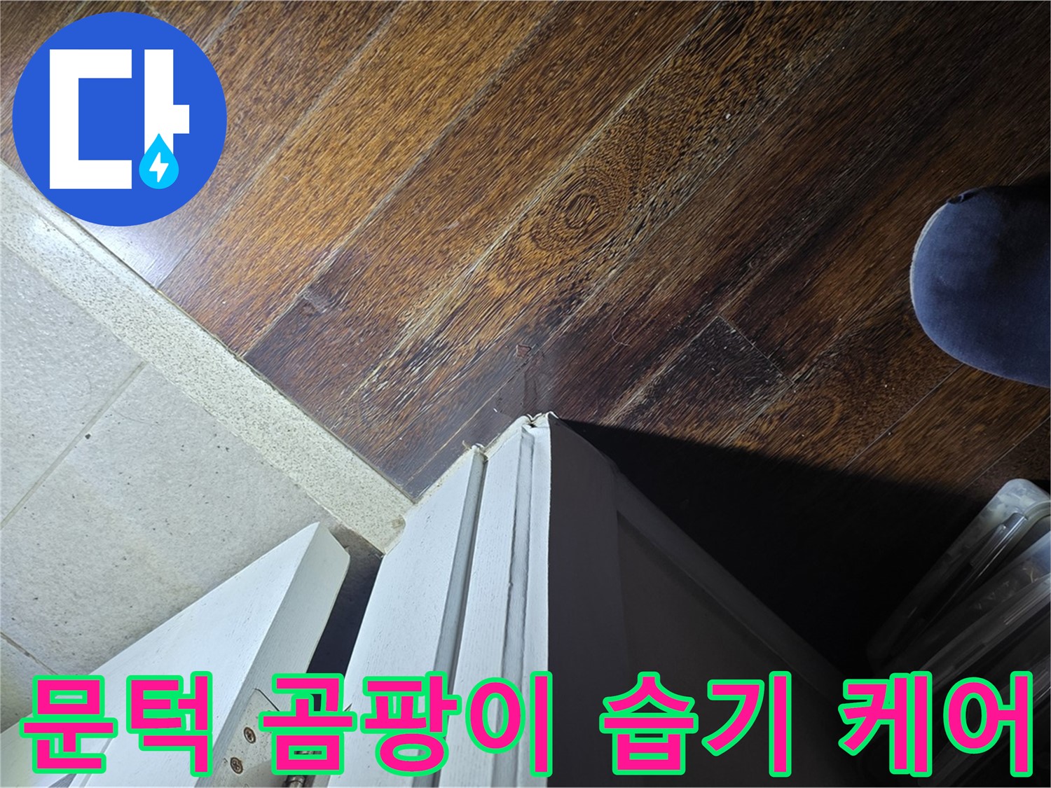 운중동 산운로 아파트 누수 - 문턱 주변 곰팡이와 습기 집중 관리