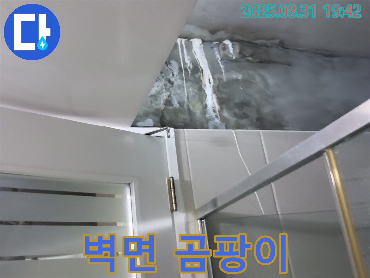 운중동 산운마을 - 샤워부스 벽면 곰팡이 - 방수 문제 및 환기 상태를 점검하세요!