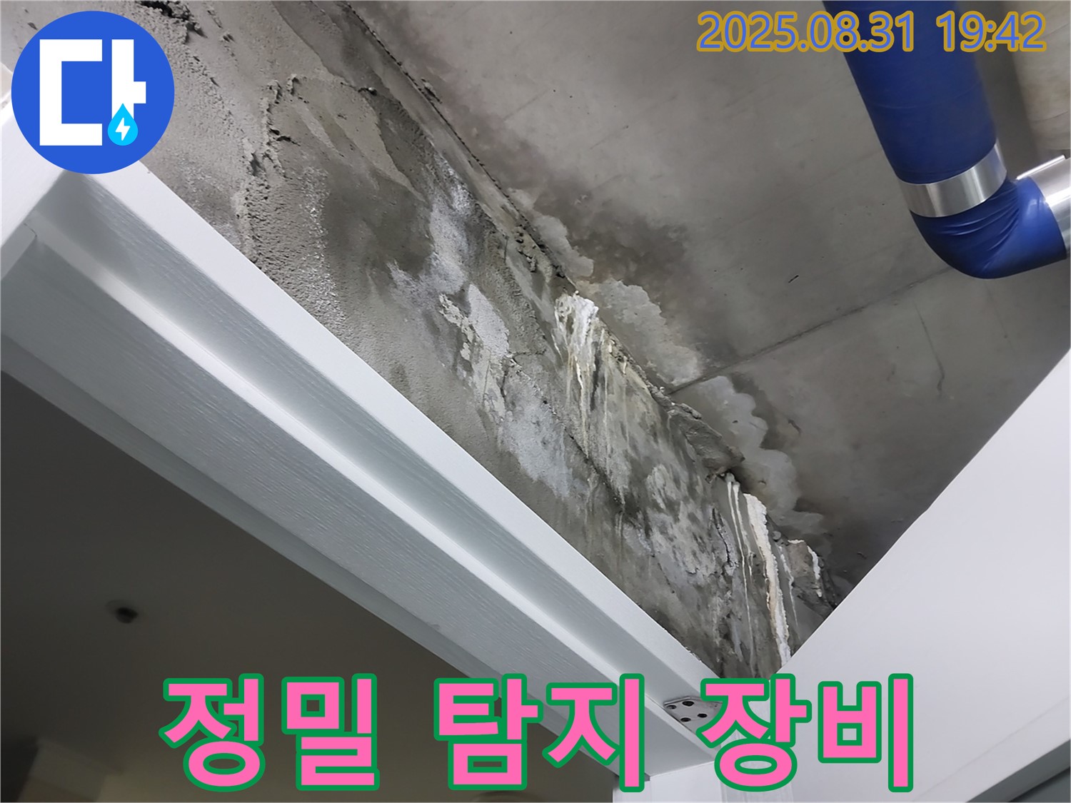 정밀 탐지 - 누수 위치 - 정밀 탐지 장비를 사용하여 정확한 누수 위치를 추적하고 있습니다.