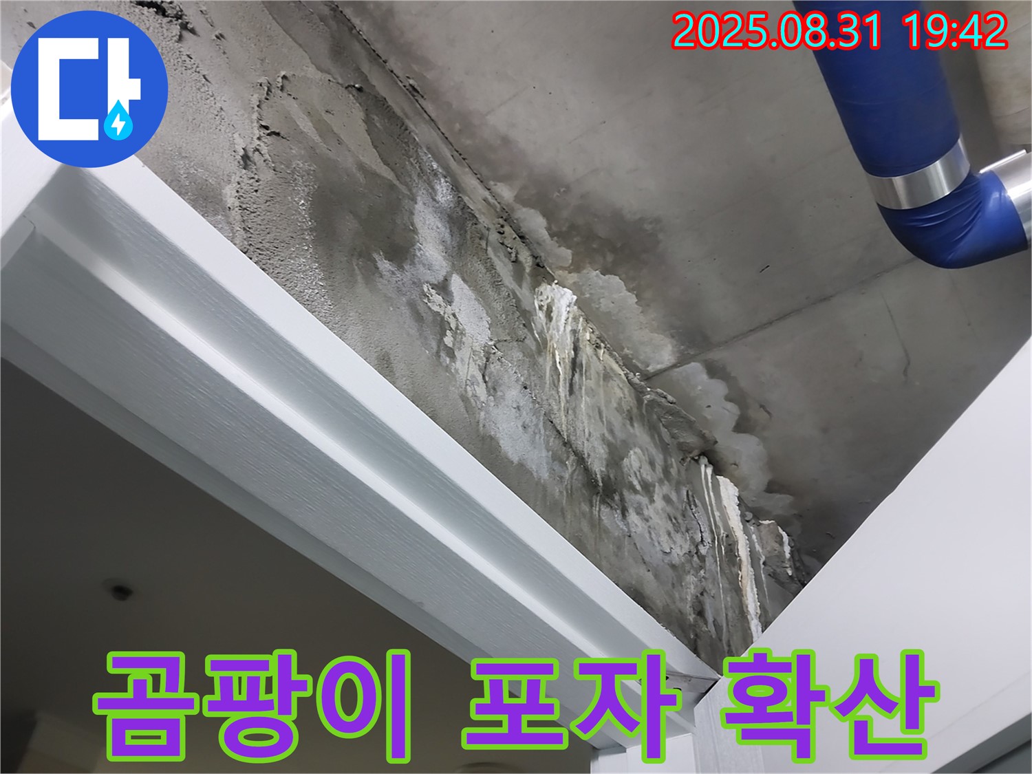 천장 누수 - 곰팡이 포자 - 천장 누수로 인해 곰팡이 포자가 확산될 우려가 있는 상황입니다.