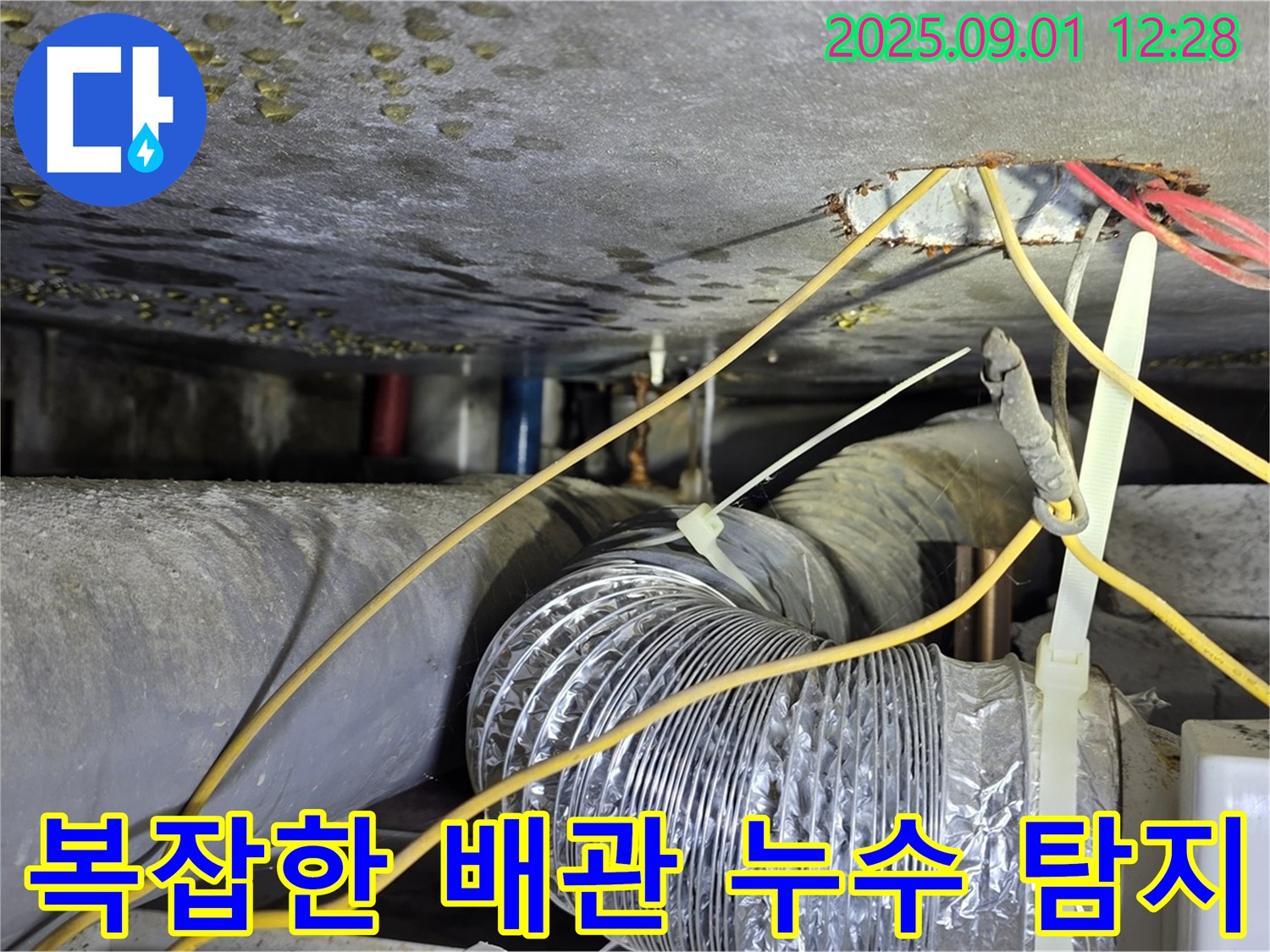 광진구 능동 누수 - 복잡한 배관 속 누수도 첨단 장비로 정확하게 탐지