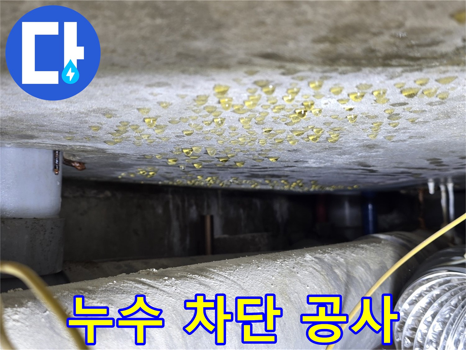 광진구 능동 빌라 천장 누수 - 누수 차단을 위한 꼼꼼한 공사 과정입니다.