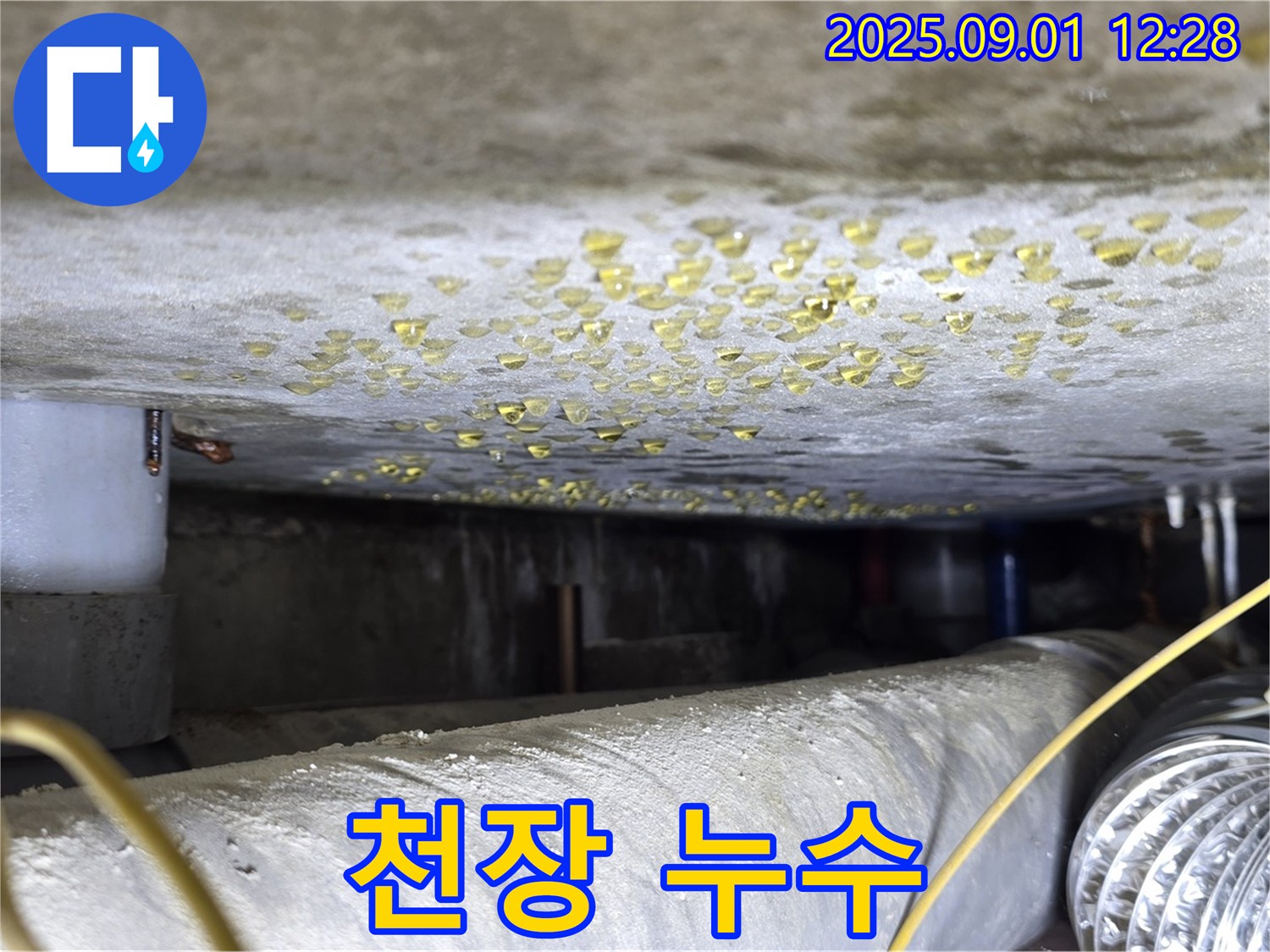 광진구 능동 천장 누수 - 확실한 전문가의 꼼꼼한 시공