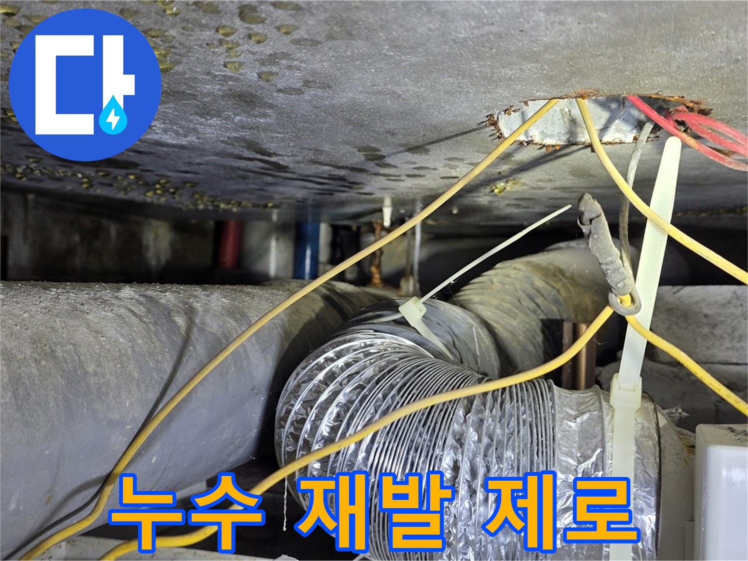 광진구 능동로 누수 - 완벽한 시공으로 누수 재발 제로에 도전