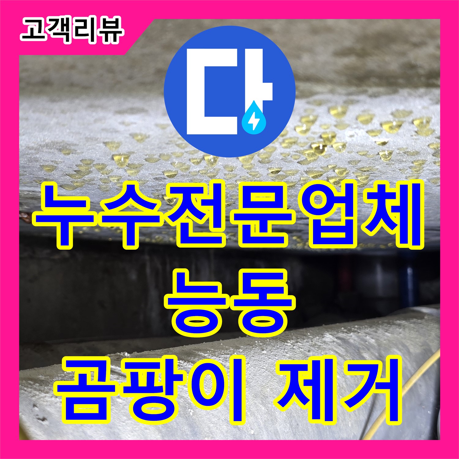 능동 누수전문업체, 벽에 생긴 곰팡이, 누수설비로 쾌적한 환경을 되찾으세요