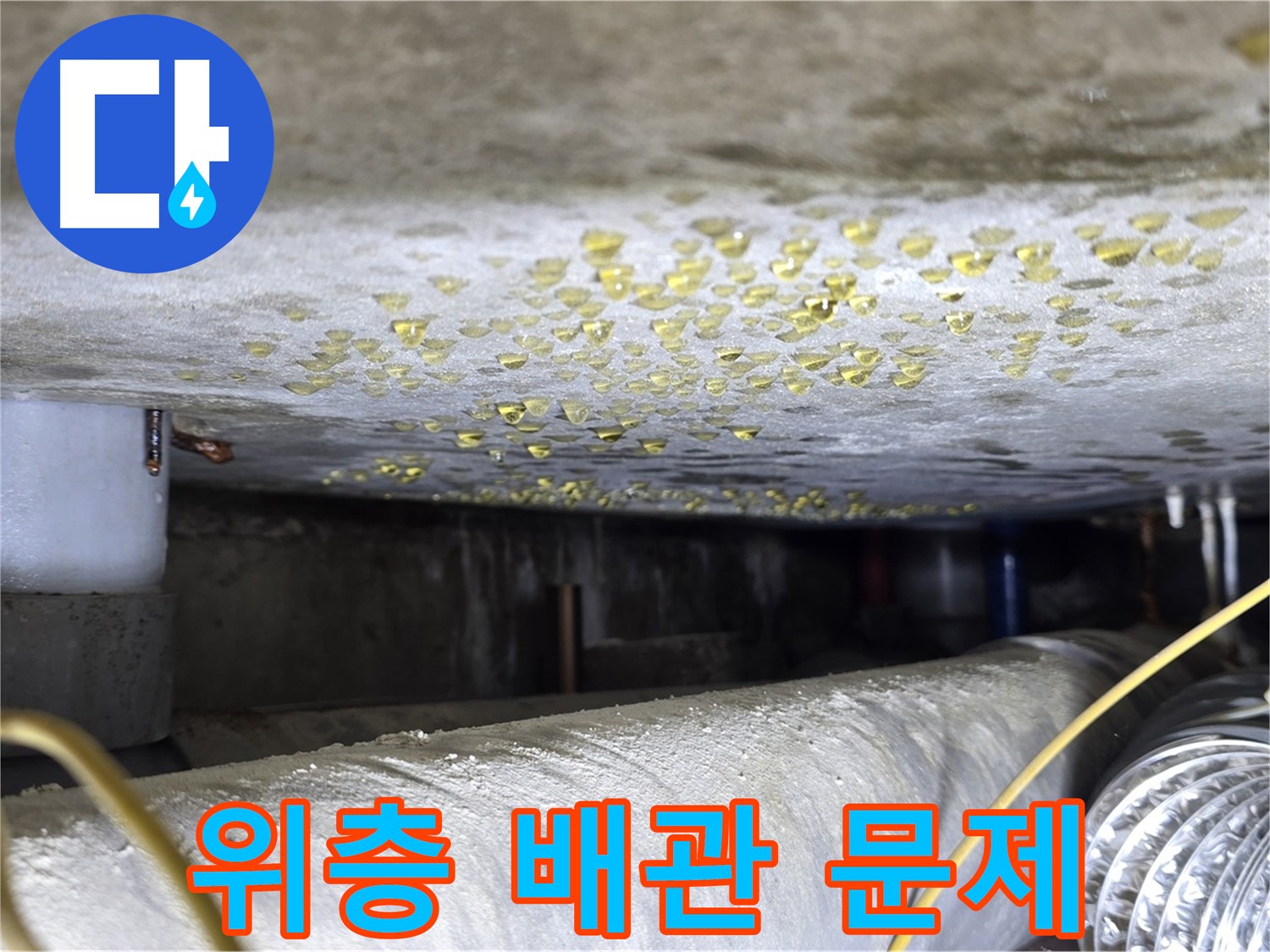 능동 아성빌라트 천장 누수 - 위층 배관 문제로 인한 누수 의심