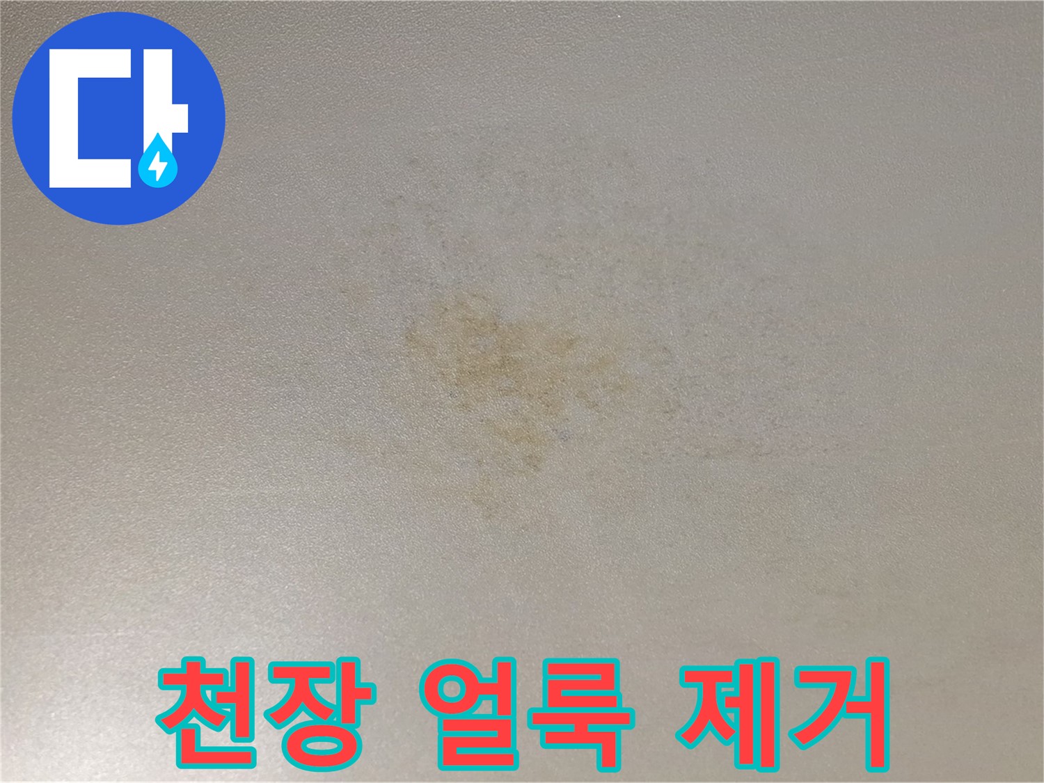 천장 얼룩 제거 - 광진구 능동 쾌적한 환경