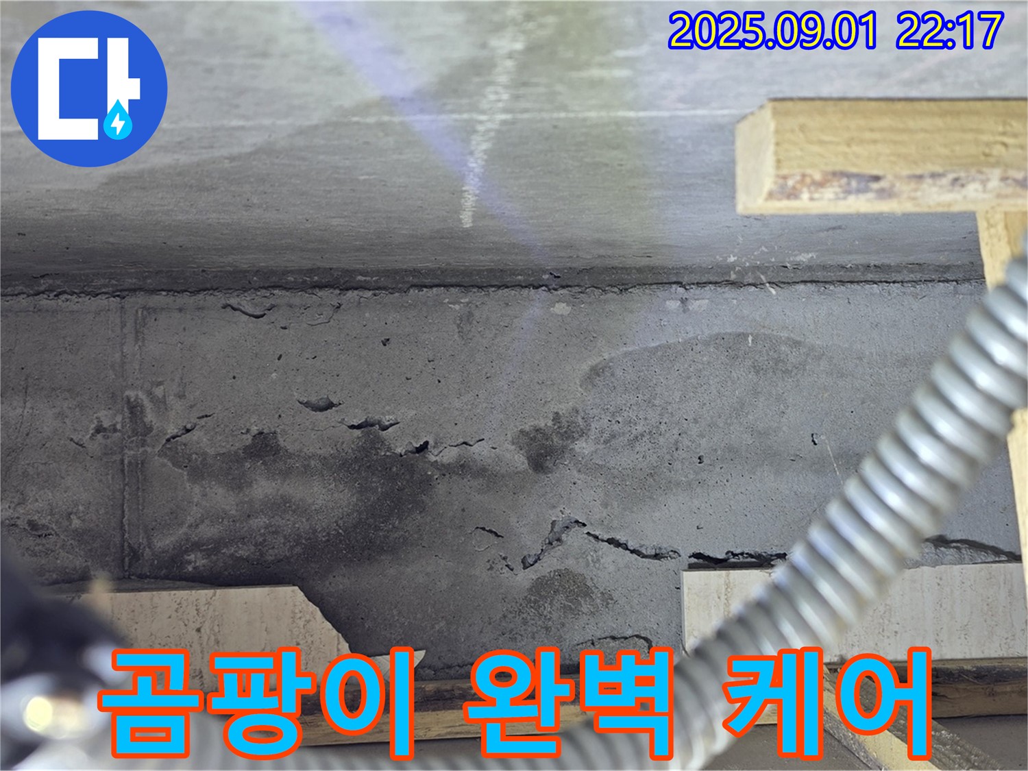 일동 옛기산베스트빌 누수 - 포천 누수 베테랑이 곰팡이까지 완벽하게 케어해 드립니다!
