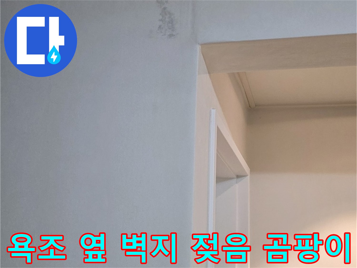 젖은 벽지와 곰팡이 - 젖은 벽지는 곰팡이 발생의 원인이 되며, 건강에 해로울 수 있습니다.