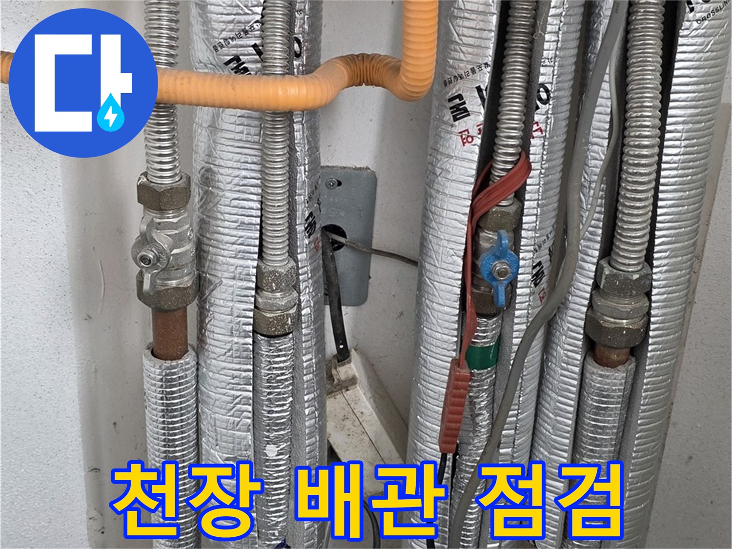포천 일동 기산리 아파트 천장 배관 누수 점검 - 꼼꼼한 확인으로 문제 해결.