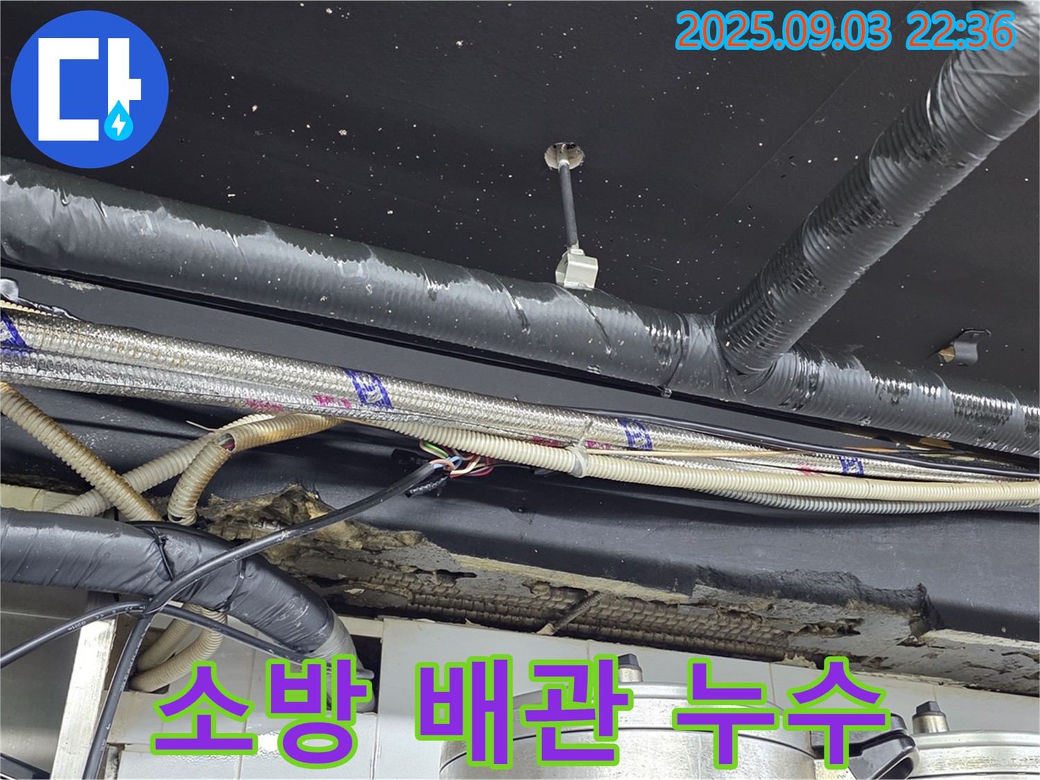 용산구 이태원동 건물 천장 소방 배관 누수 - 긴급 상황, 전문 업체 연결로 안전 점검
