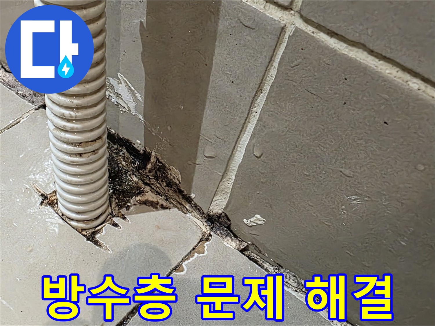 용산구 상가 화장실 누수 - 노후된 메지와 방수층 문제로 인한 누수 진단