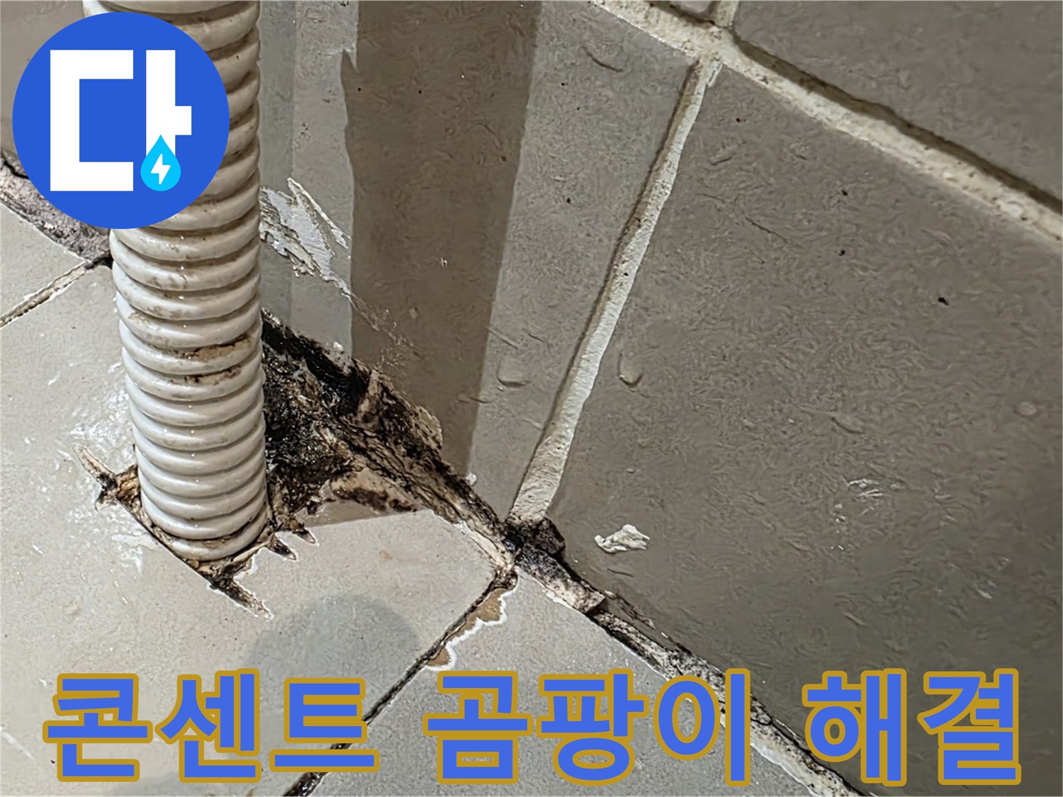 용산구 상가 누수 - 콘센트 배관 주변 곰팡이 문제 해결 전문가