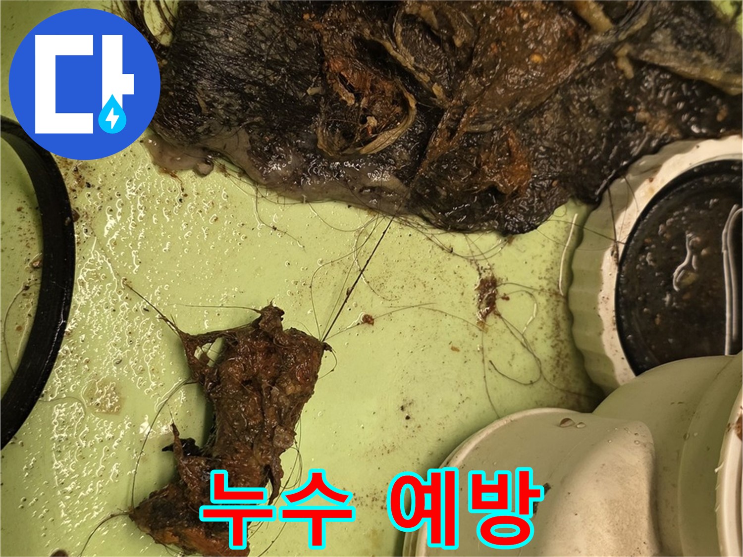 사가정 센트럴아이파크 105동 세면대 배수구 - 누수 예방, 깨끗한 배수구