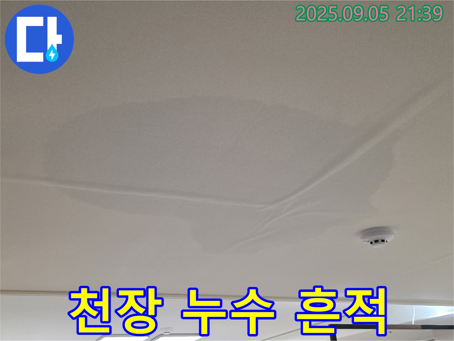 사가정 센트럴아이파크 - 천장 누수 흔적, 젖은 천장