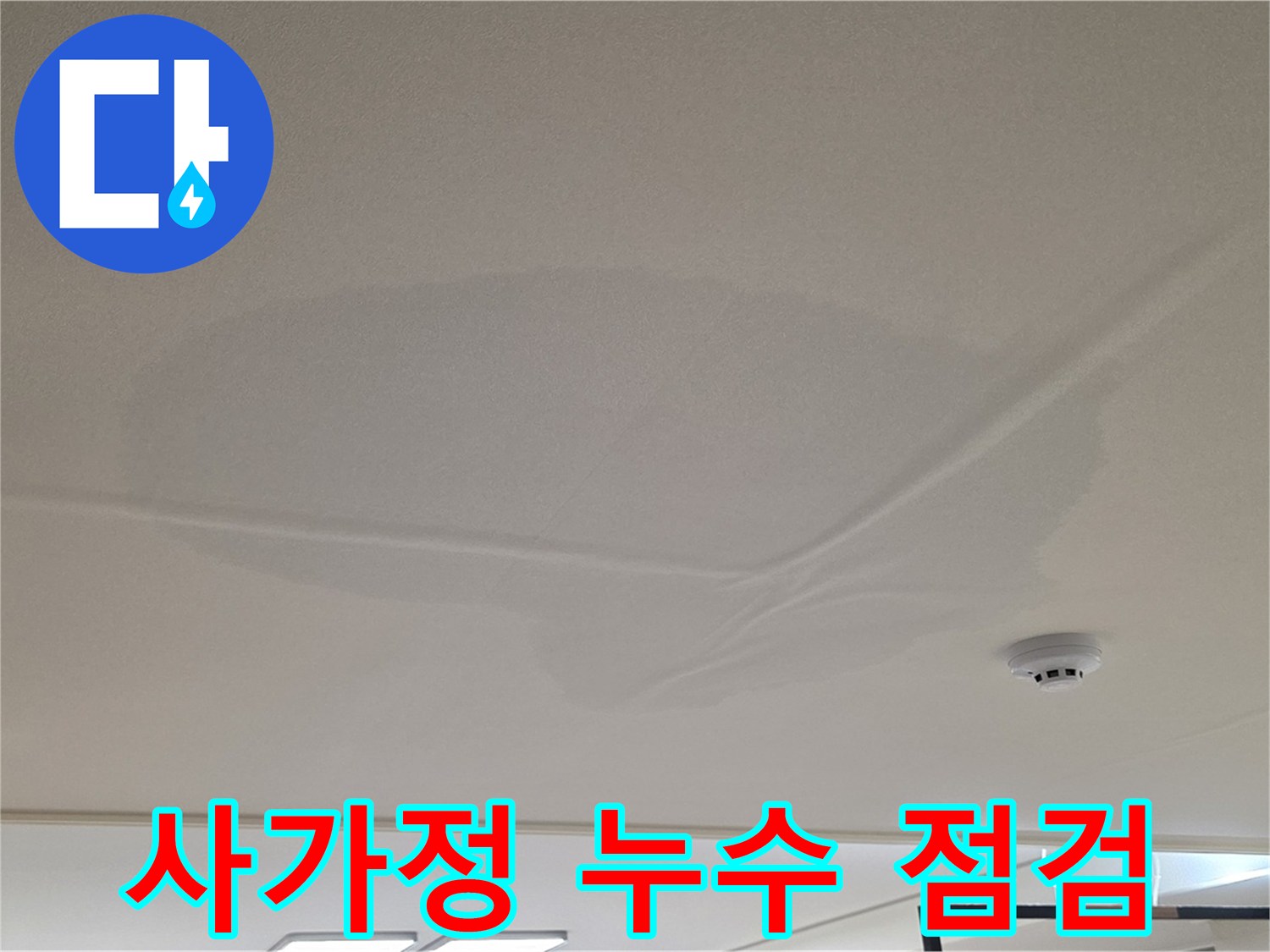 사가정 아파트 천장 누수 - 넓은 범위 물 얼룩 - 긴급 점검 및 초기 진단