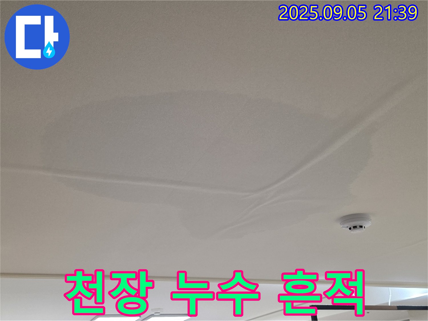 중랑구 면목동 아파트 천장 누수 - 젖어있는 천장, 누수 흔적