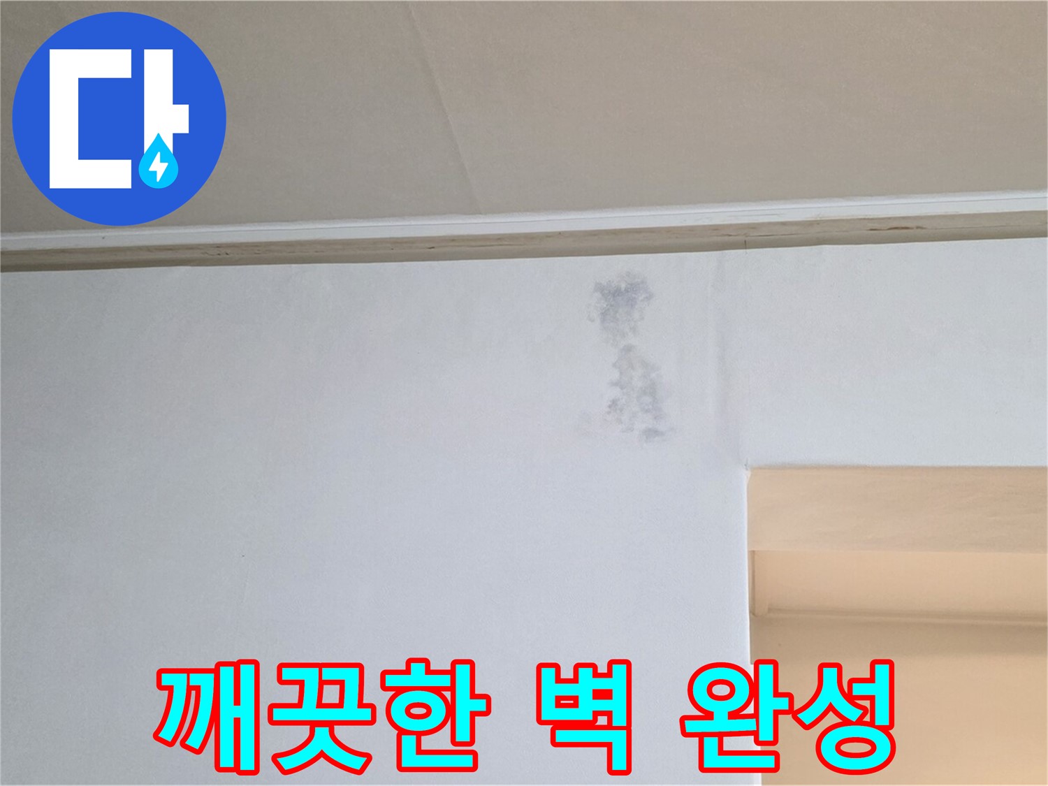 곰팡이 문제 해결 - 깨끗한 벽 완성