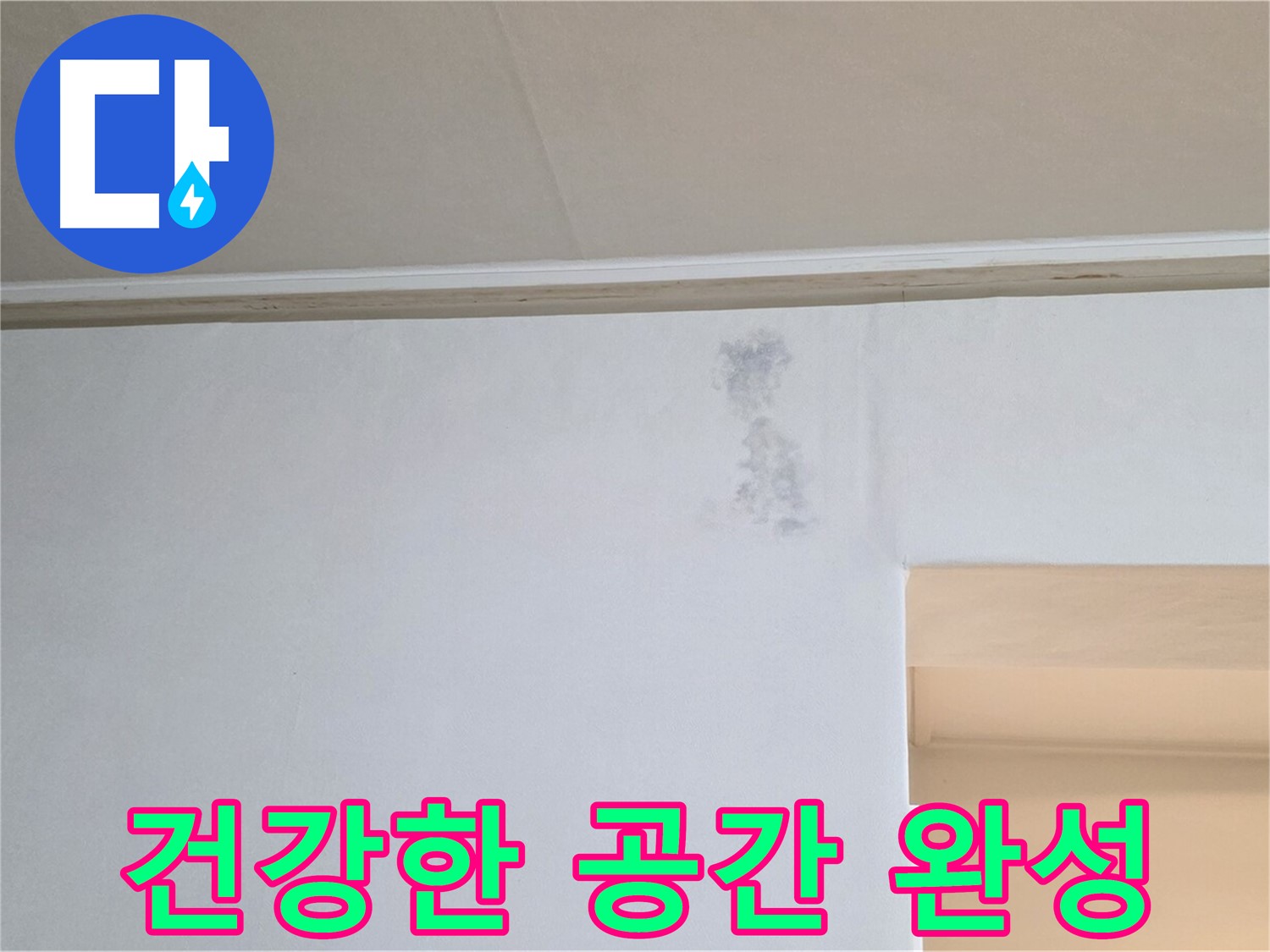 곰팡이 지도 없는 건강한 공간 - 행복한 삶으로 초대