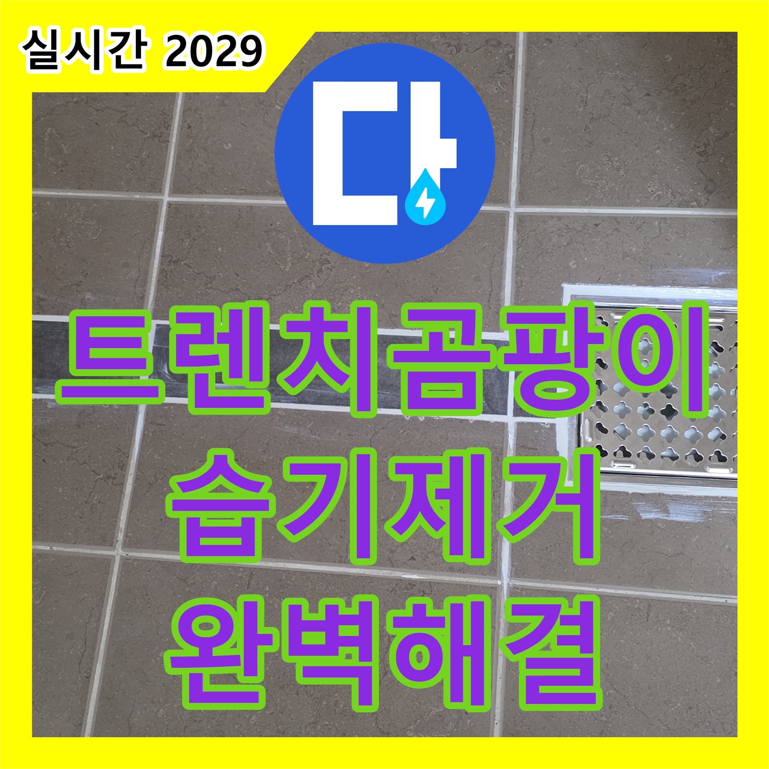 누수전문 - 욕실 트렌치 주변 곰팡이 문제, 포천시 일동면에서 완벽 해결