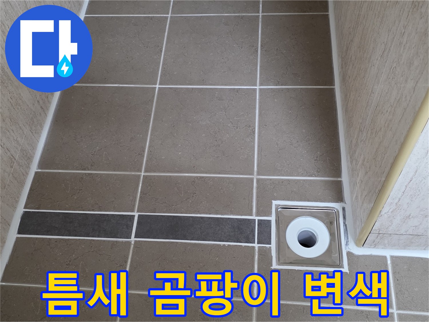 배수구 주변 타일 틈새 - 곰팡이 및 변색