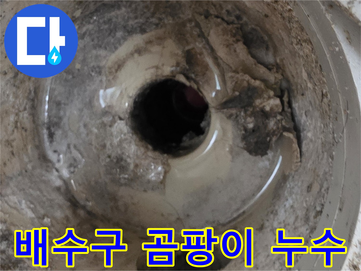 베란다 배수구 주변 곰팡이 발생 - 누수 가능성 진단 및 해결