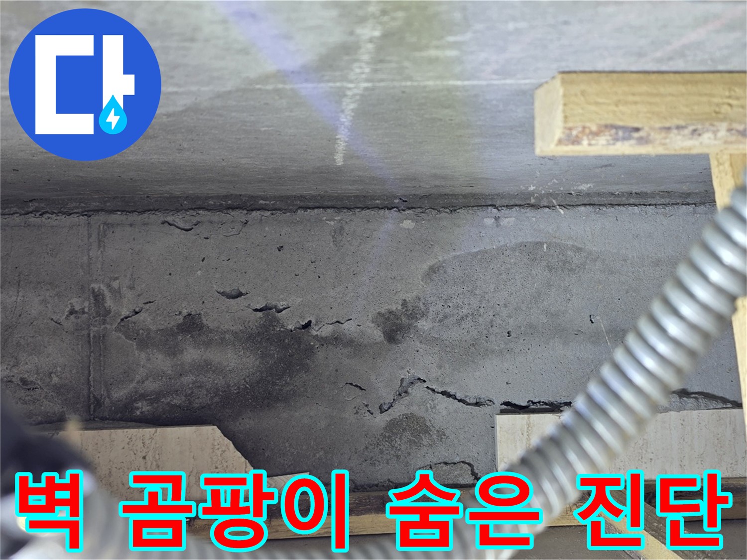 벽 곰팡이 누수 숨은 진단 - 최첨단 장비