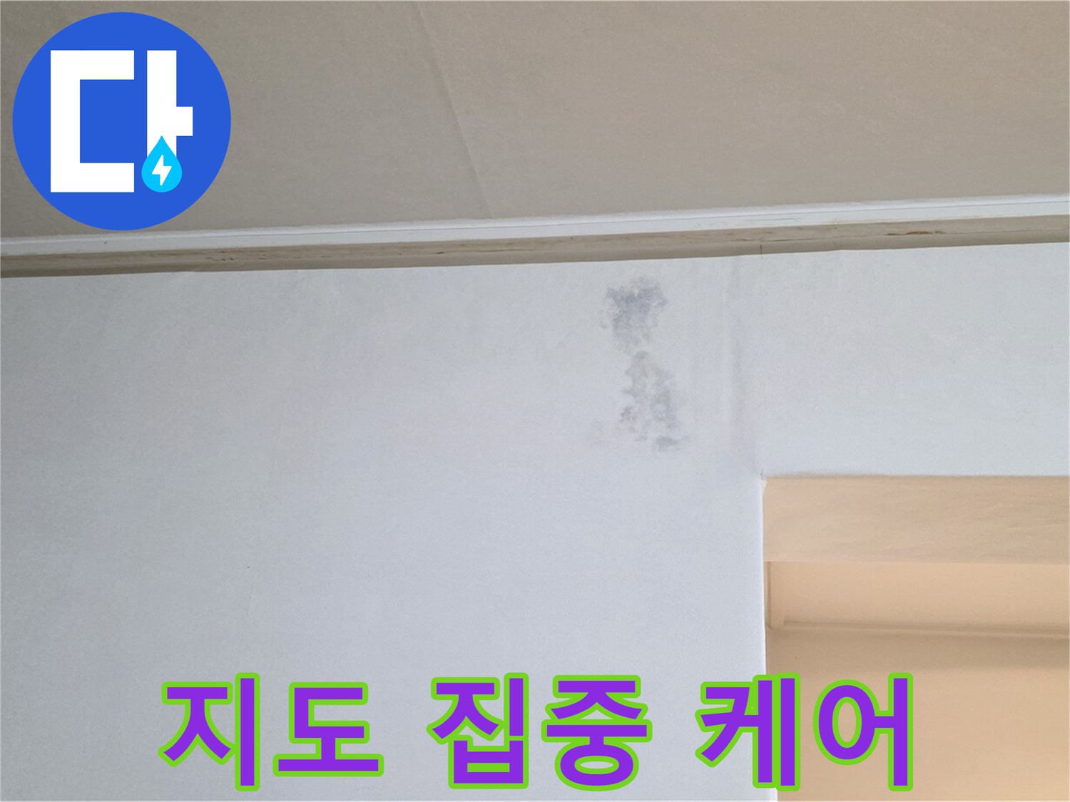 벽 곰팡이 지도 집중 케어 - 맞춤 솔루션 제공