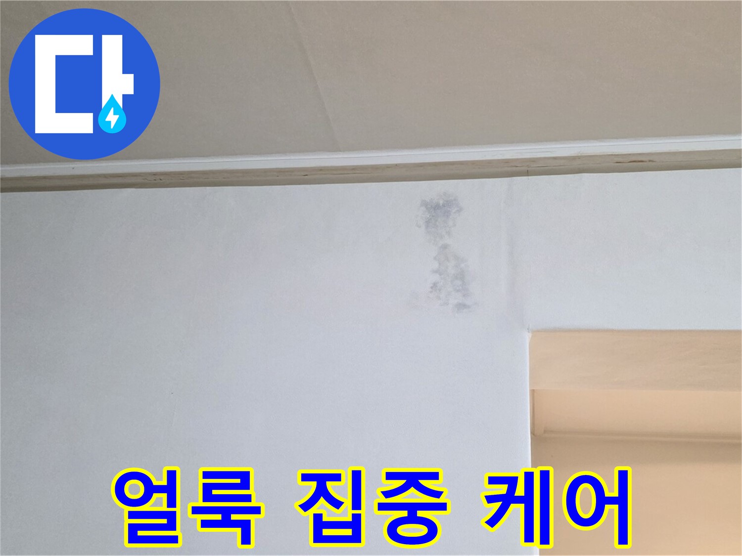 벽 그림자 얼룩 집중 케어 - 맞춤 솔루션 제공