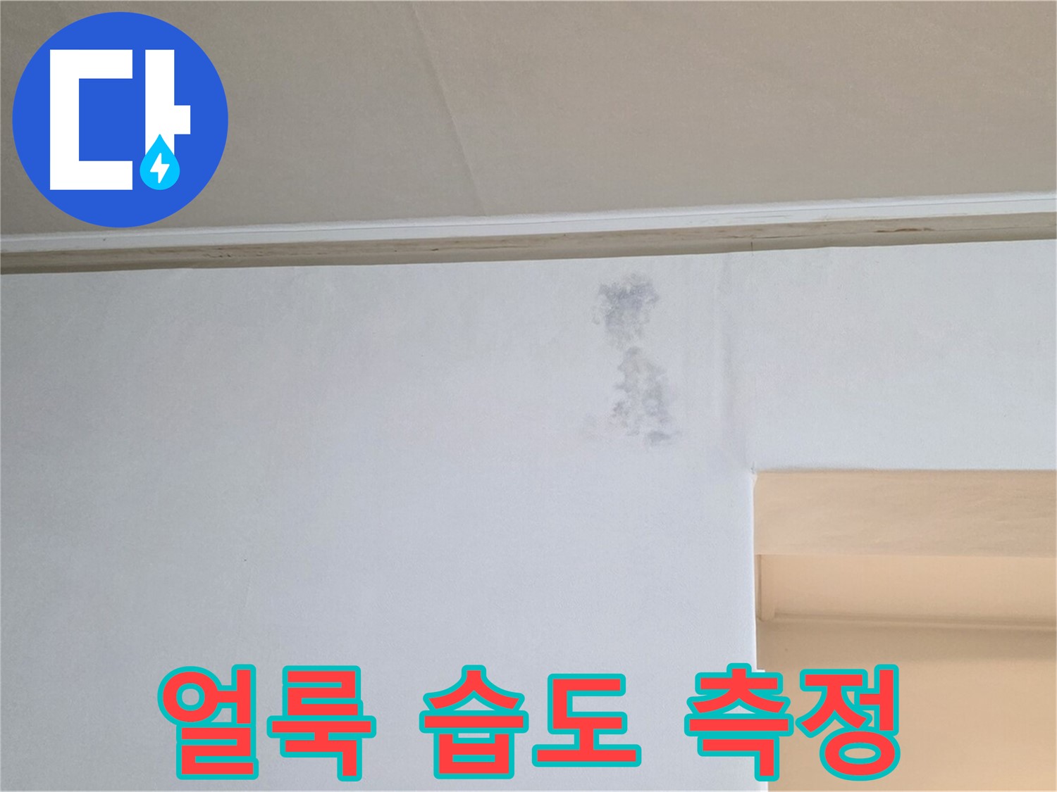 벽 얼룩 습도 측정 - 곰팡이? 누수? 정밀 진단