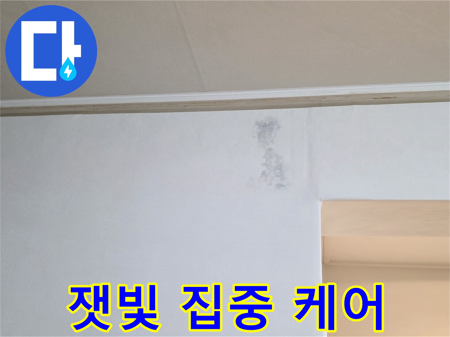 벽 잿빛 얼룩 집중 케어 - 맞춤 솔루션 제공