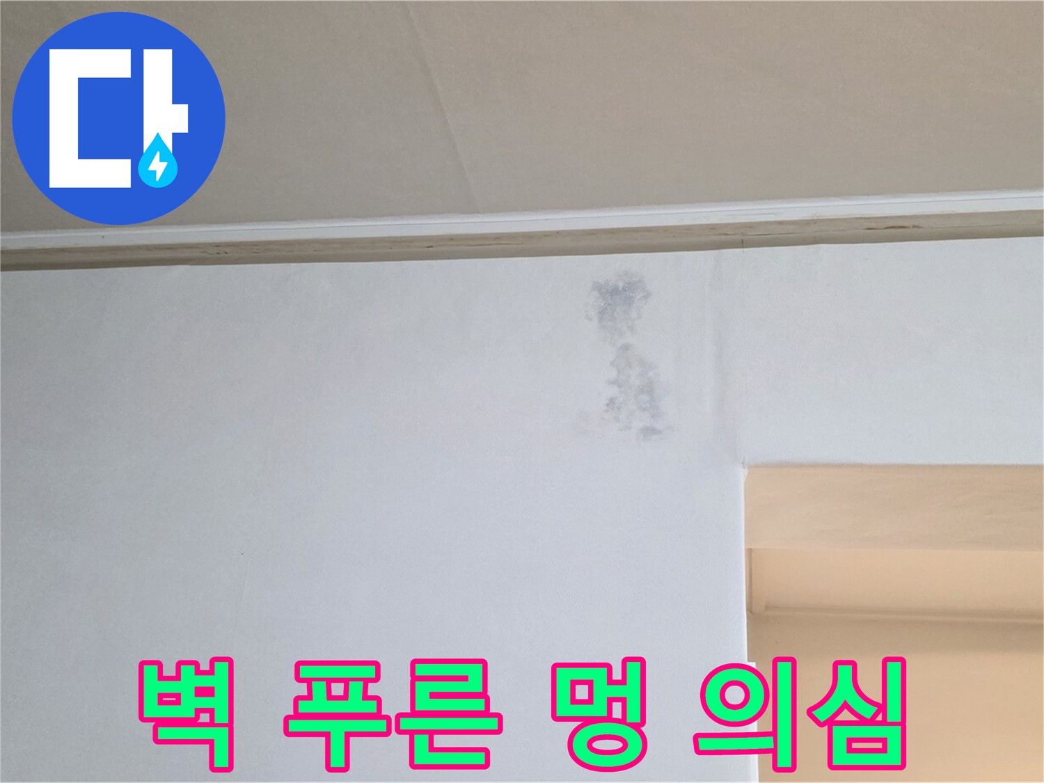 벽 푸른 멍 - 곰팡이 억울한 외침 & 누수 초기 의심