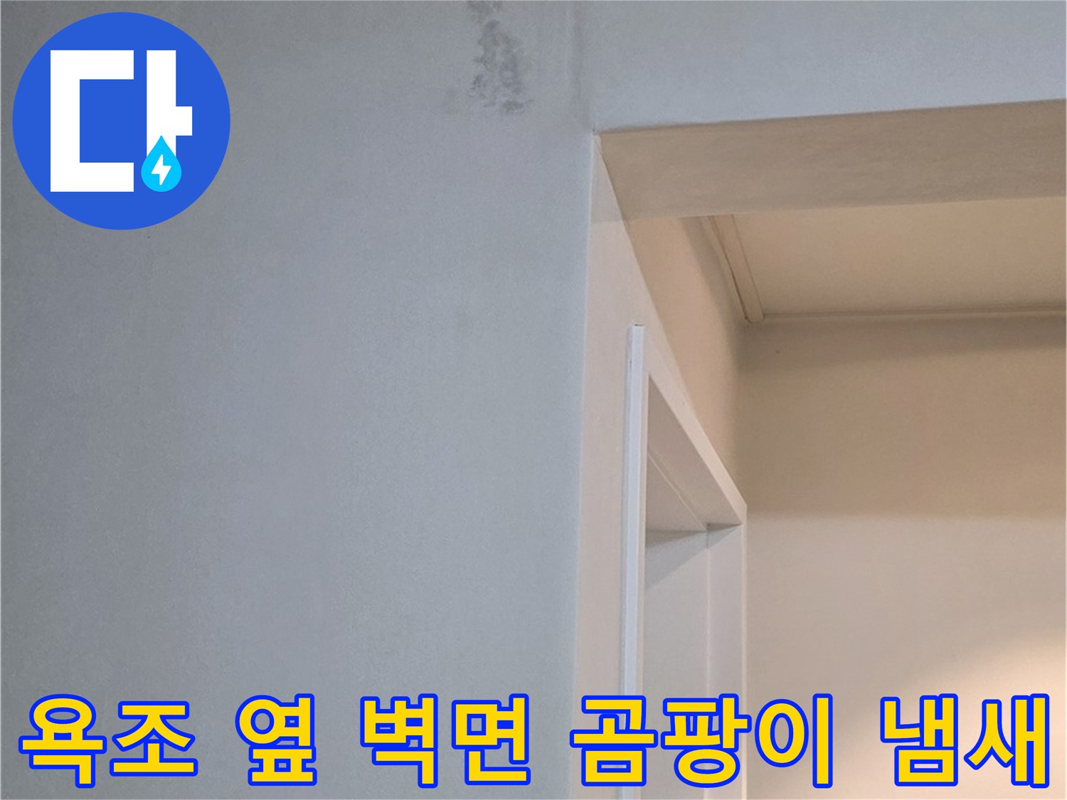 일동 기산리 아파트 욕조 옆 벽면 곰팡이 냄새 - 누수 원인 진단 및 곰팡이 제거