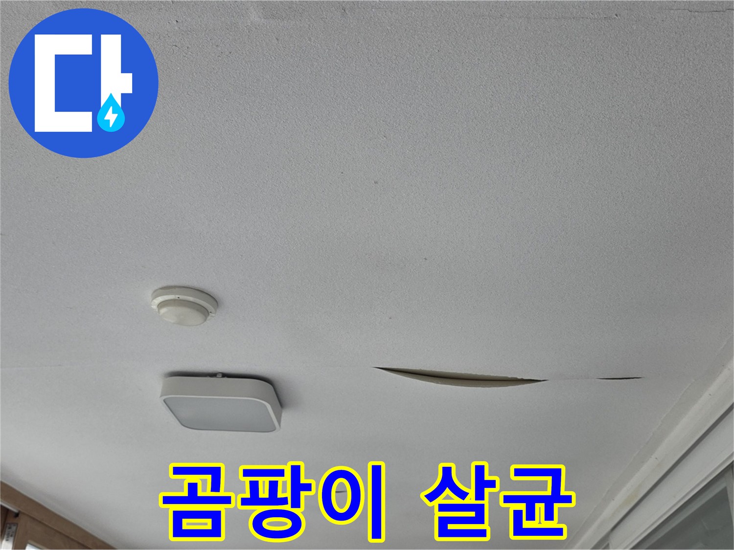 일동 아파트 천장 누수 - 석고보드 곰팡이 살균 소독
