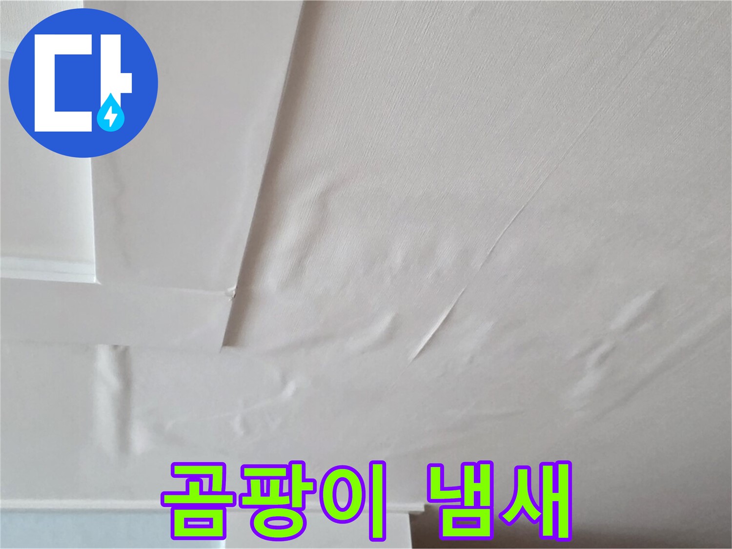 일동기산베스트빌 아파트 천장 누수 - 곰팡이 냄새 - 기억력 감퇴 - 치매 유발