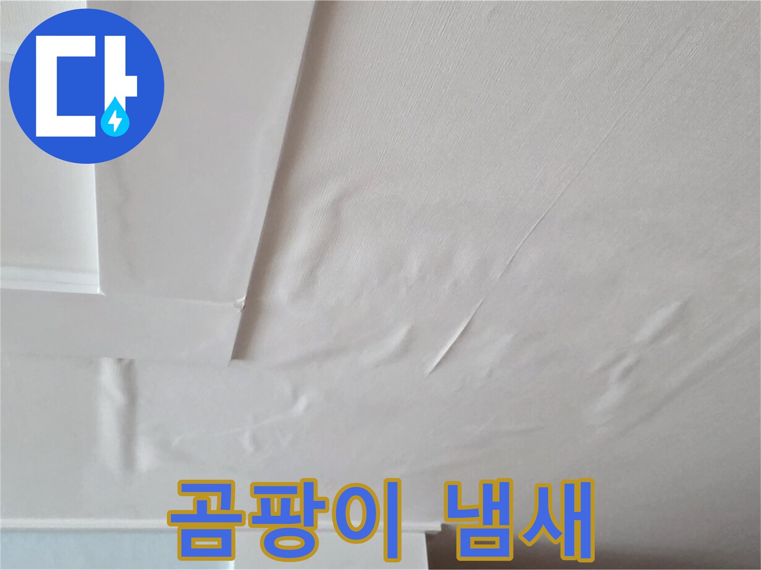 일동기산베스트빌 아파트 천장 누수 - 곰팡이 냄새 - 자가면역질환 유발