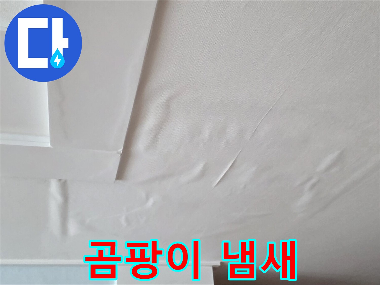 일동기산베스트빌 아파트 천장 누수 - 곰팡이 냄새와 건강 위협