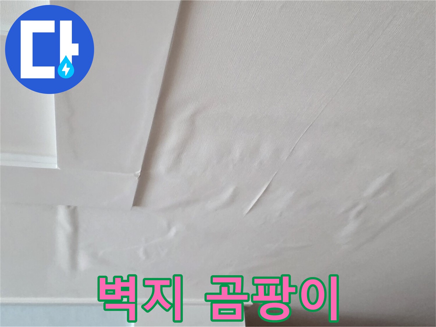 일동기산베스트빌 아파트 천장 누수 - 벽지 곰팡이 발생