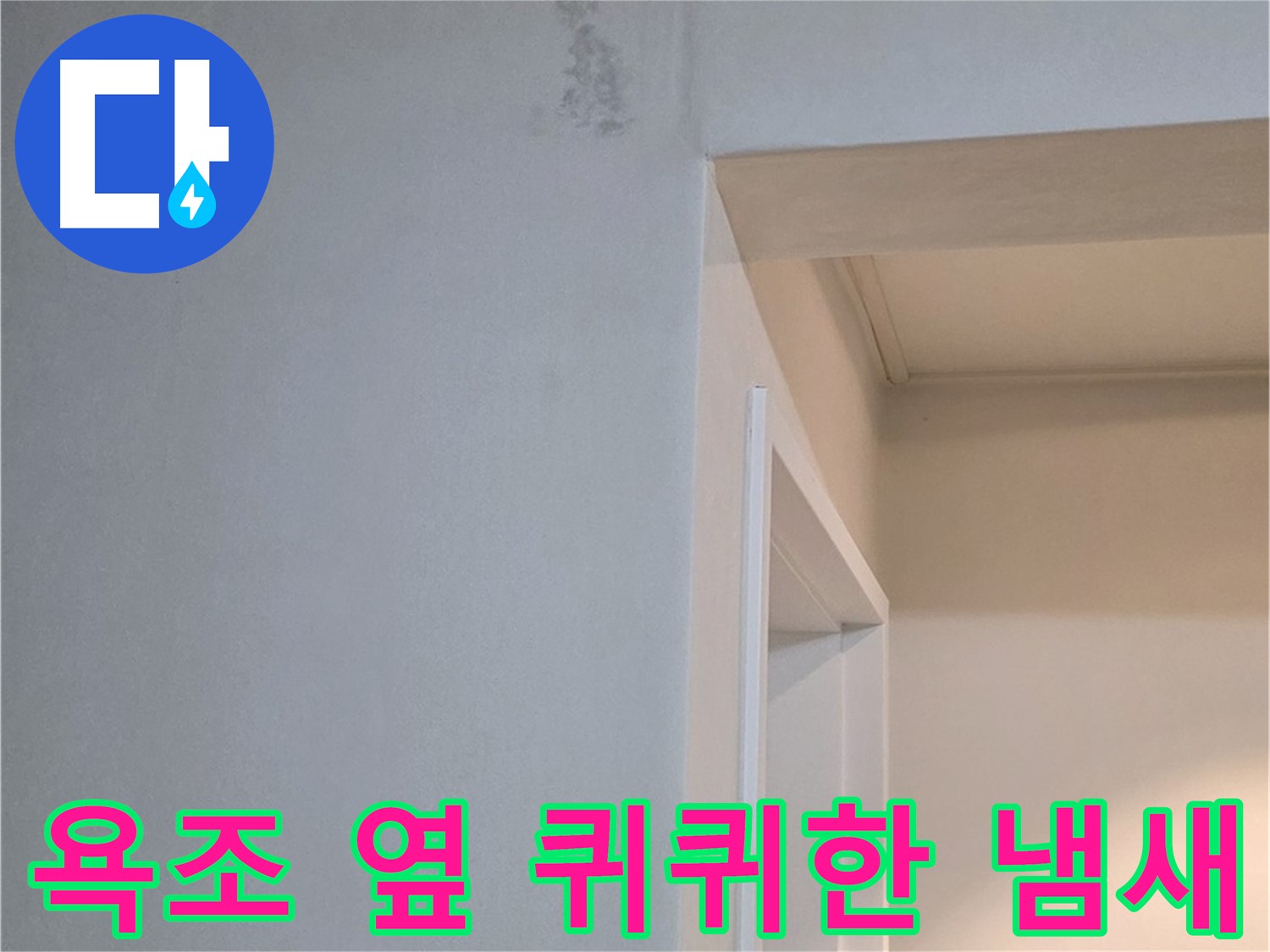 포천 일동 기산리 아파트 욕조 옆 벽면 퀴퀴한 냄새 - 누수 원인 진단 및 확실한 점검