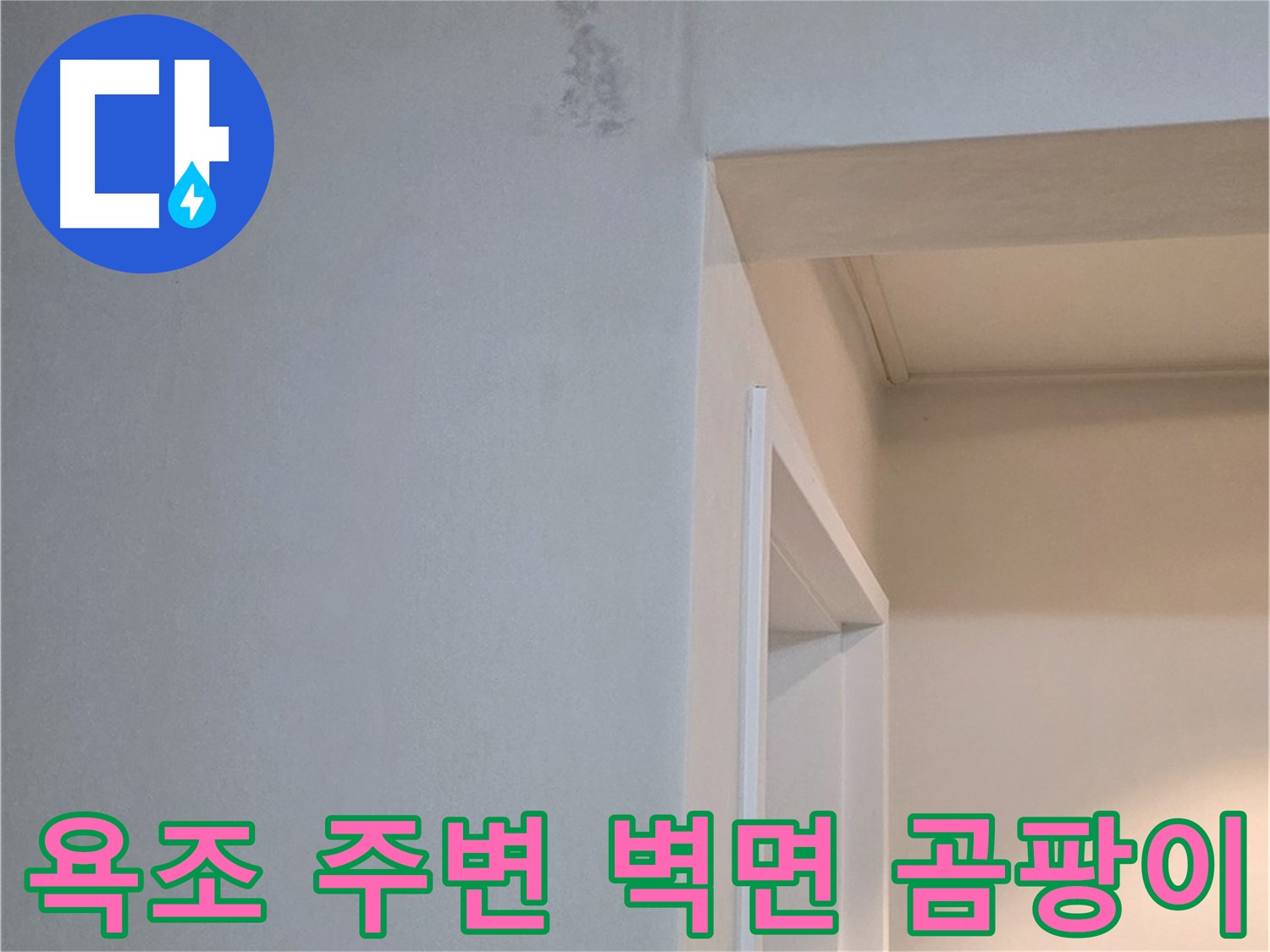 포천 일동 기산리 아파트 욕조 주변 벽면 곰팡이 - 건강 위협 및 확실한 제거