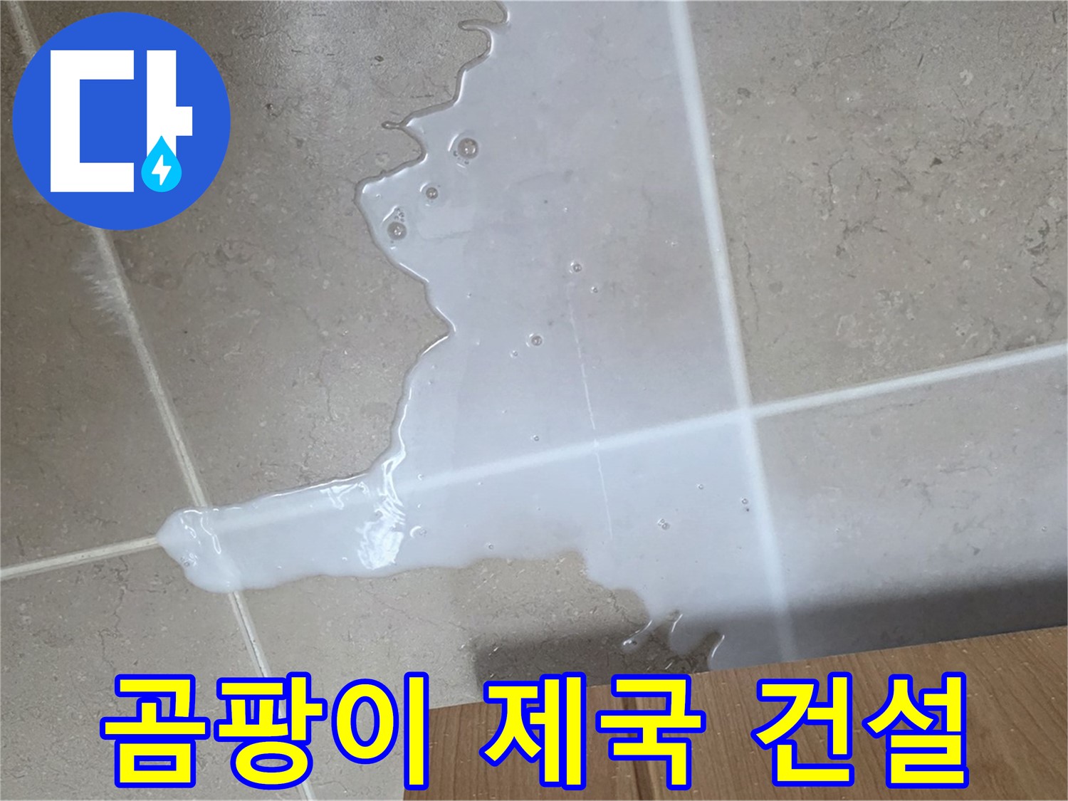 포천 일동 기산베스트빌 아파트 - 씽크대 누수로 인해 곰팡이가 무성하게 자라나는 모습 - 곰팡이 제국 건설?!