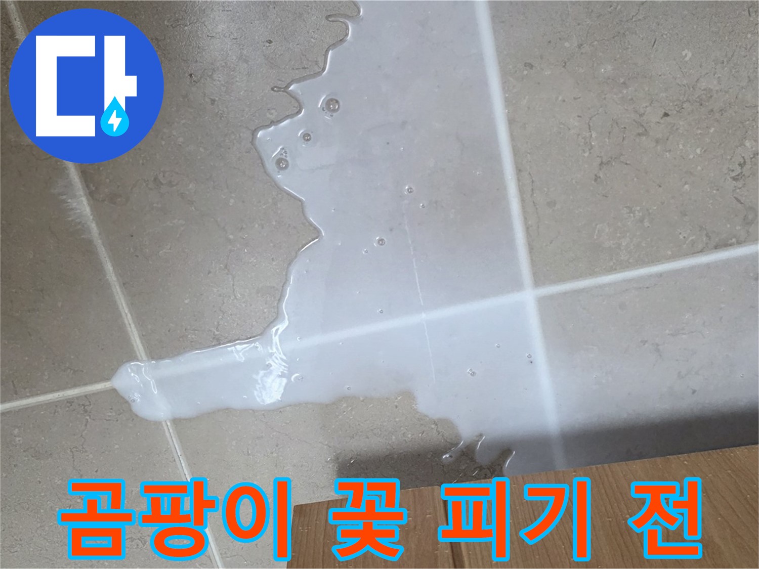 포천 일동 기산베스트빌 아파트 - 씽크대 누수로 인해 곰팡이가 피기 시작한 모습 - 곰팡이 꽃 피기 전에 긴급 조치!