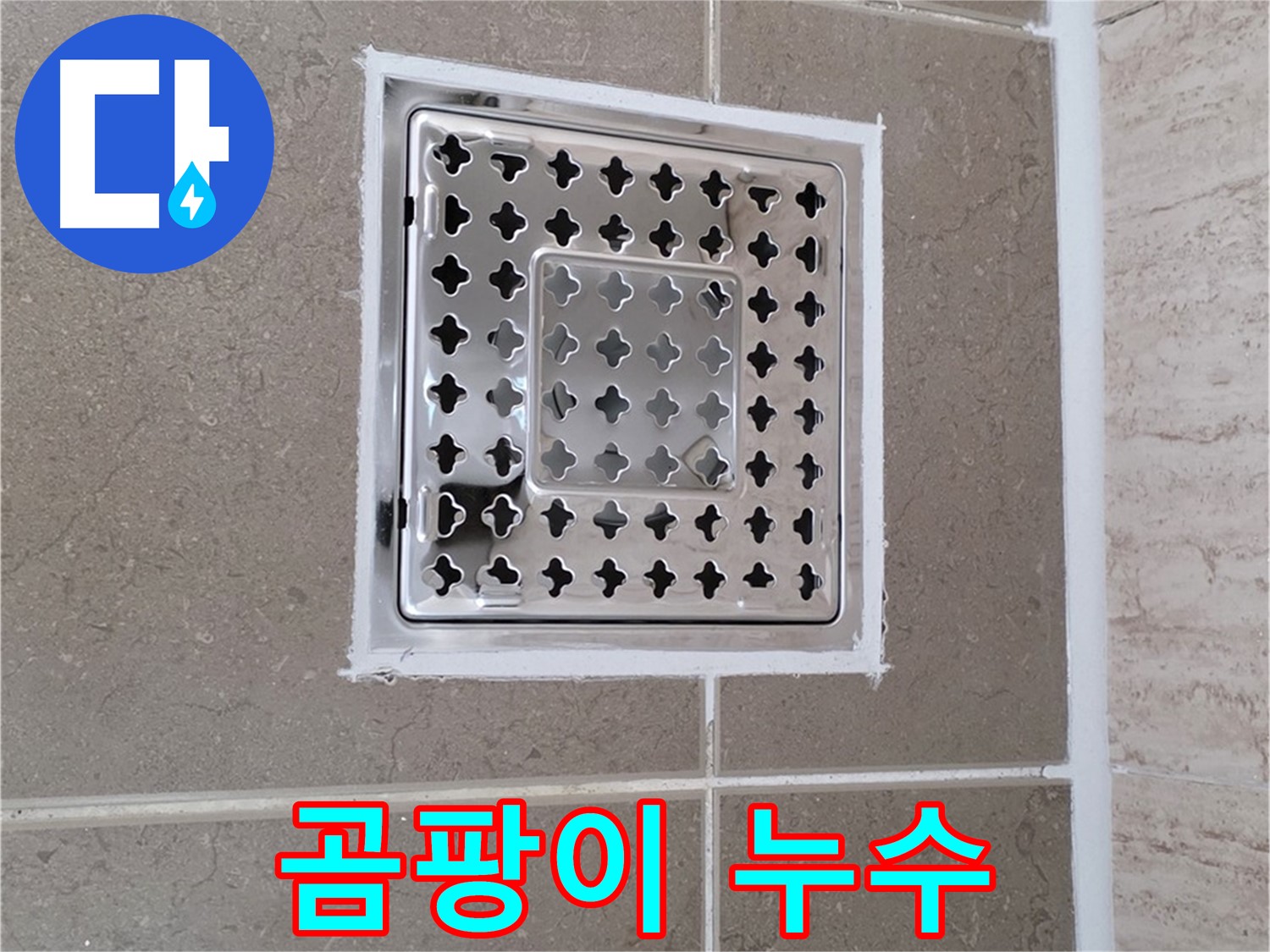포천 일동 누수 - 욕실 배수구 주변 곰팡이 발생 원인 분석 및 누수와의 연관성