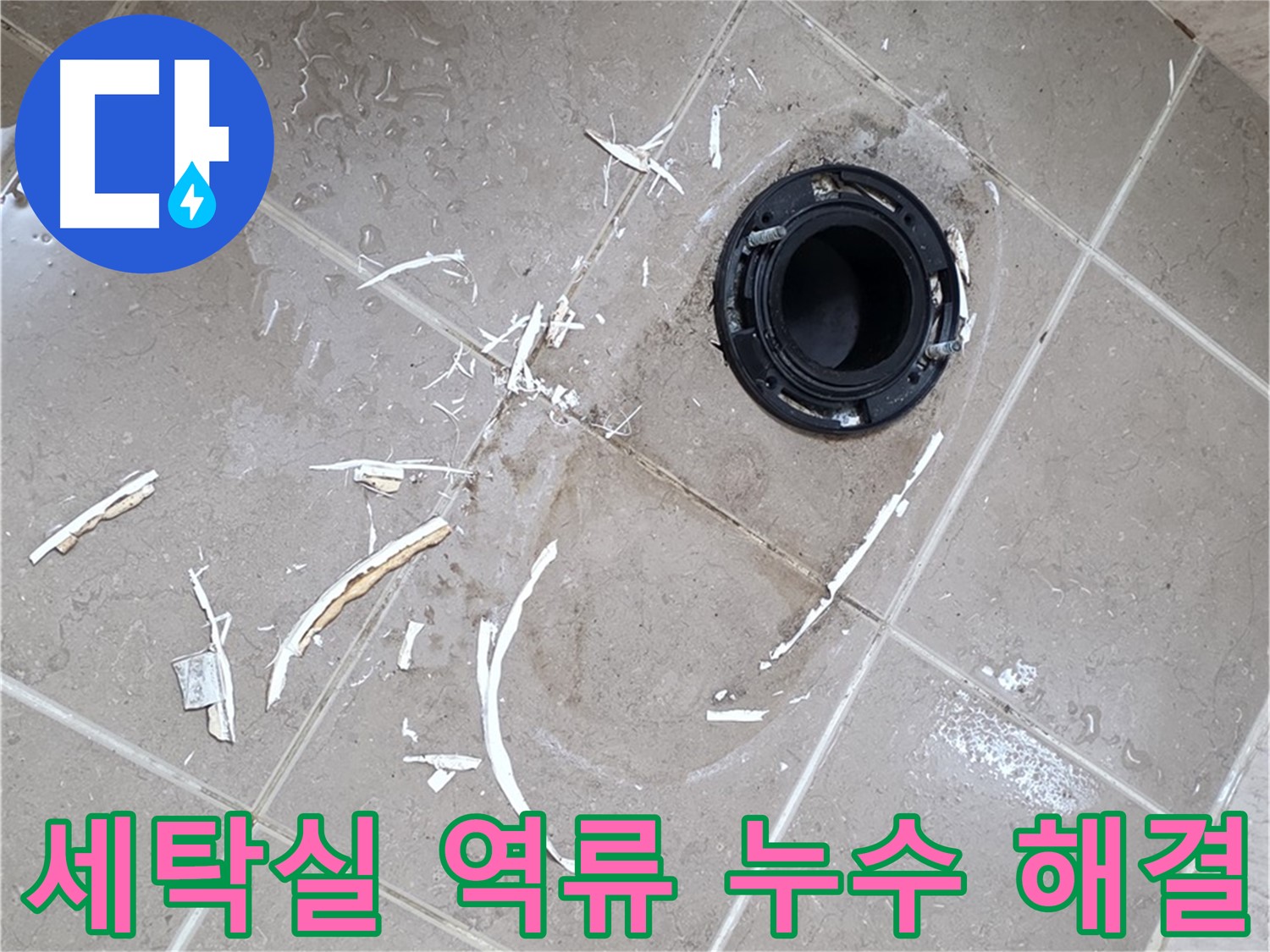 포천 일동 누수탐지 - 세탁실 배수구 역류 누수 원인 진단 및 해결 과정