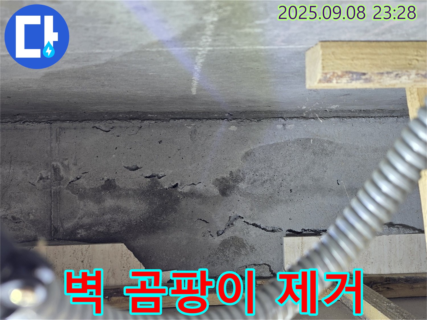 포천 일동 아파트 누수 - 벽면 곰팡이 제거, 친환경 약품 사용, 완벽 살균 및 방지 시공