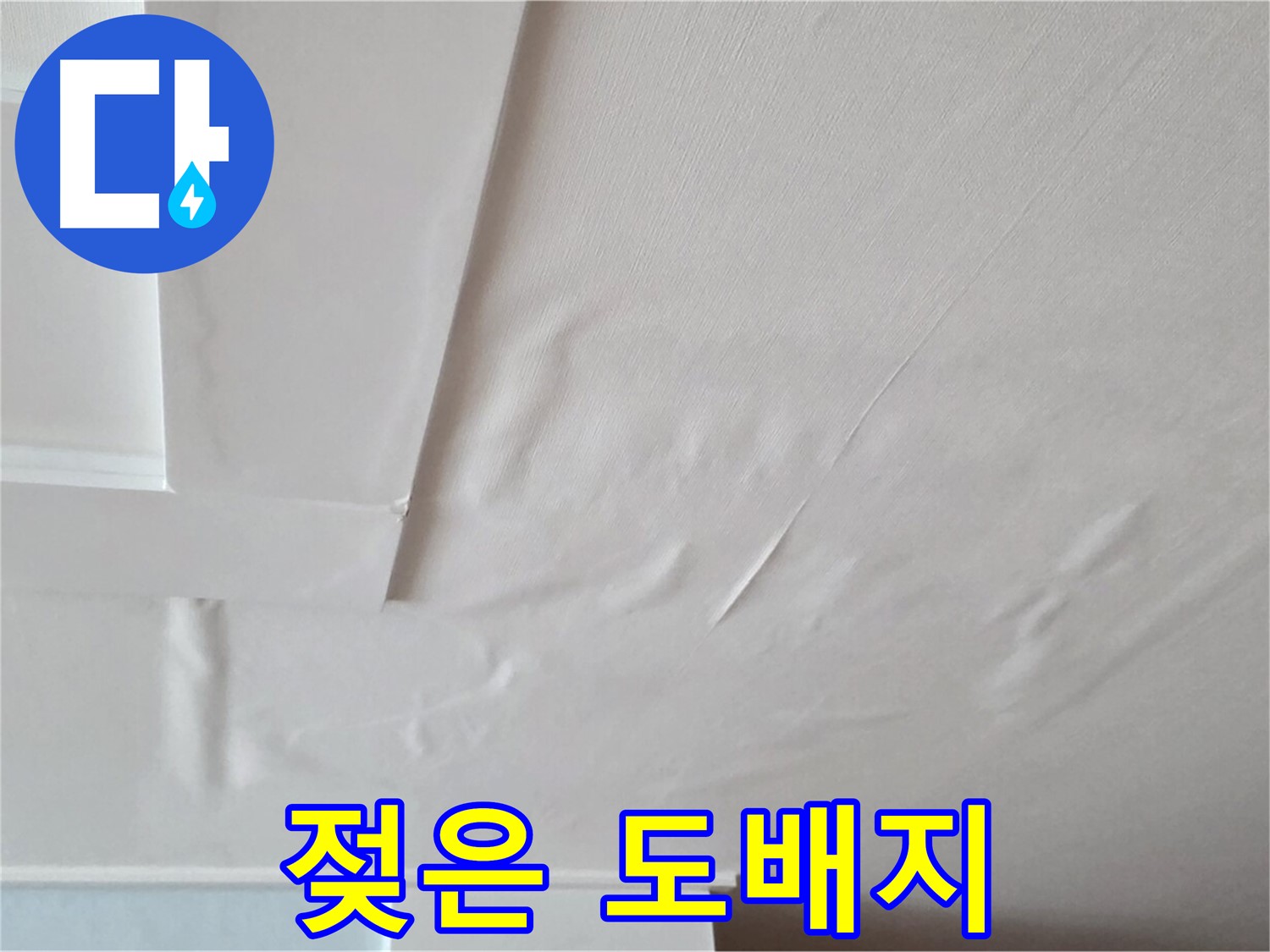 포천 일동 아파트 천장 누수 - 젖은 도배지와 곰팡이 냄새 시작