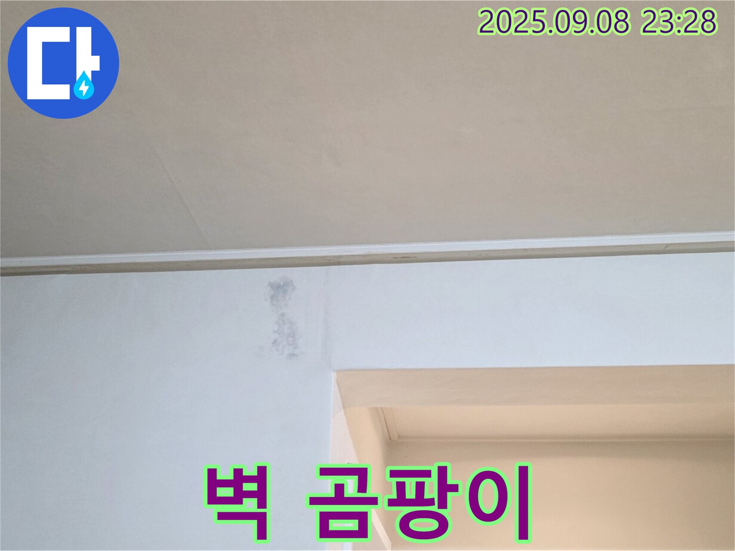 포천 일동 옛기산리 아파트 벽 곰팡이 - 곰팡이 제거와 누수 해결을 동시에!