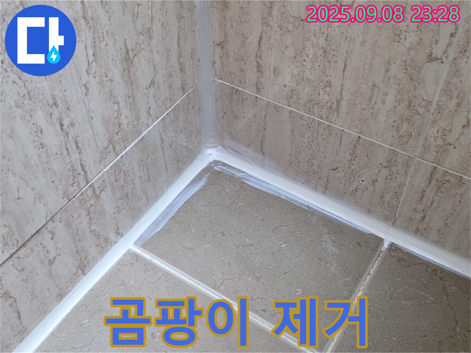포천 일동 욕실 곰팡이 제거 - 깨끗한 실리콘으로 누수와 곰팡이 해결